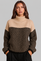 Colorblock Chevron Sweater with High Neck Audrey Calvero