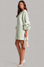 Rose Cuff Long Sleeve Mini Dress